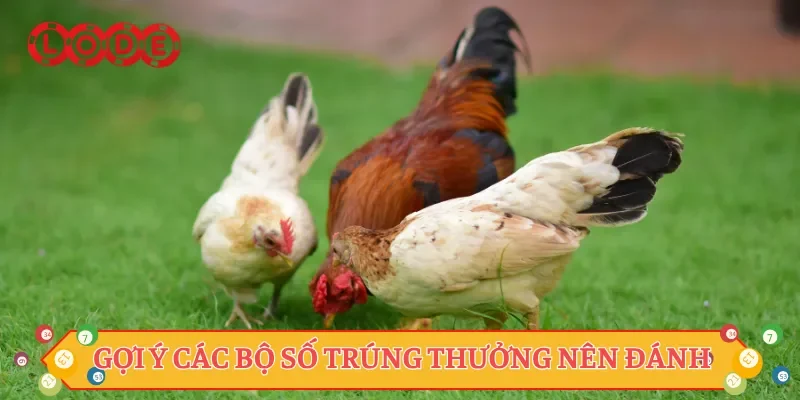 Gợi ý các bộ số trúng thưởng nên đánh