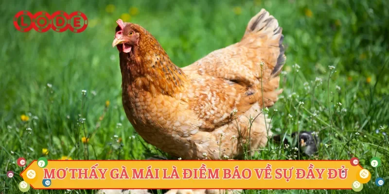 Mơ thấy gà mái là điềm báo về sự đầy đủ