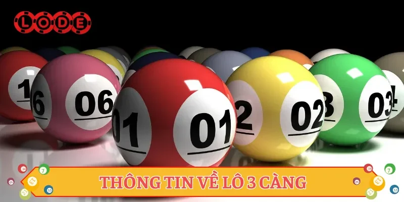Thông tin về lô 3 càng
